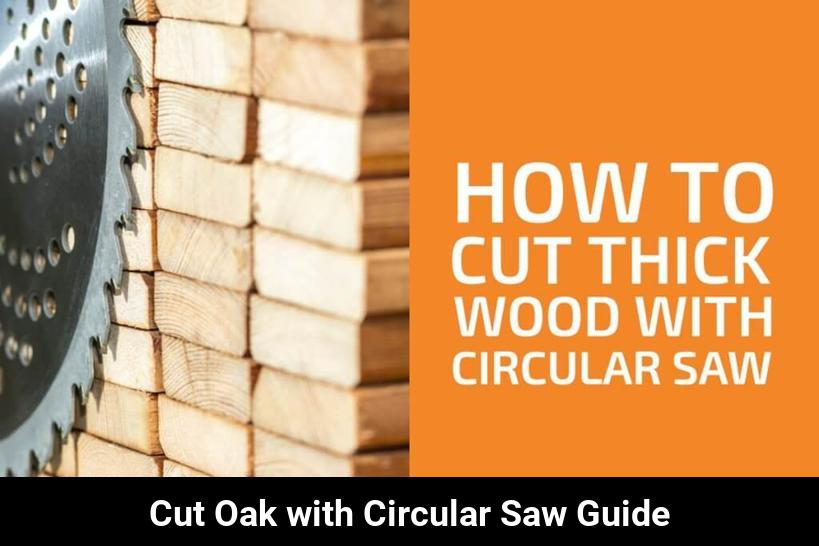 Cutting Solid Oak with a Circular Saw A StepbyStep Guide Toolz Geek