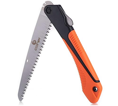 Storing a Hand Saw: Tips for Prevention of Damage