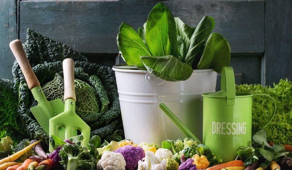 35 Best Vegetables to Grow in Buckets for Urban Gardeners Toolz Geek