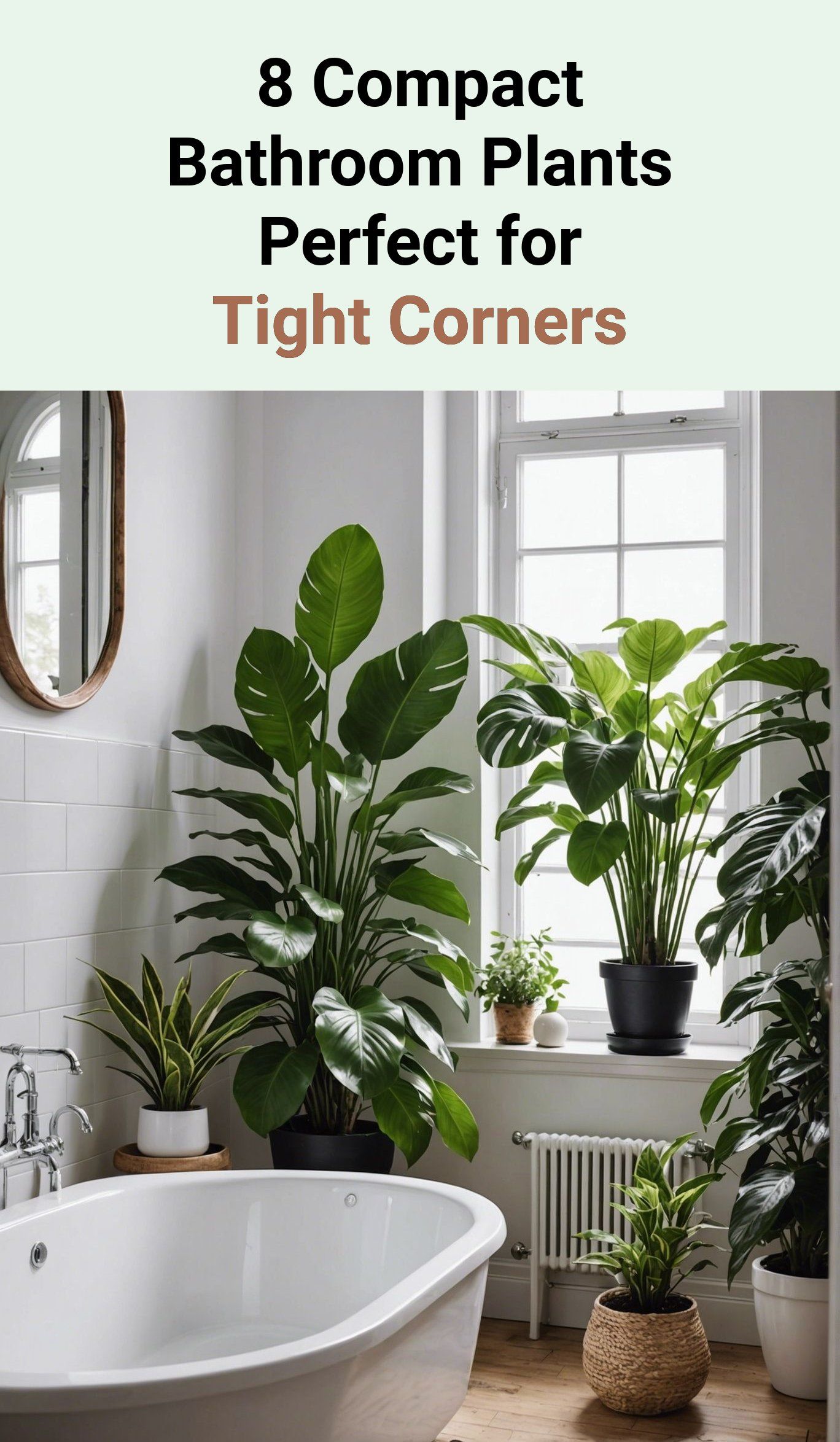 8 Compact Bathroom Plants Perfect for Tight Corners