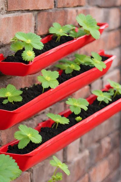 Plastic Gutter Planter