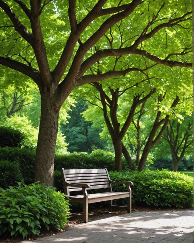 Shaded bench tucked under a canopy of trees