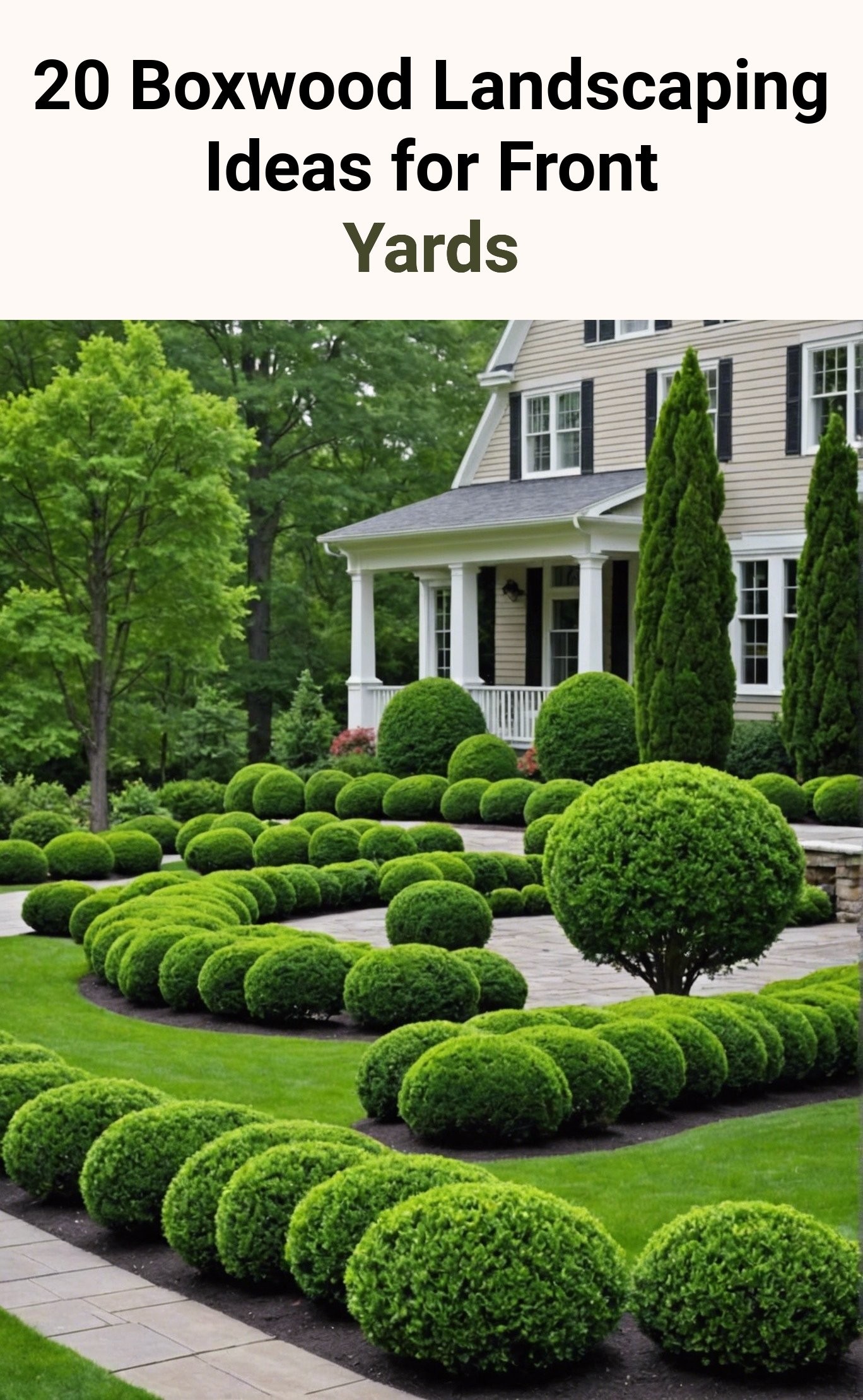 20 Boxwood Landscaping Ideas for Front Yards