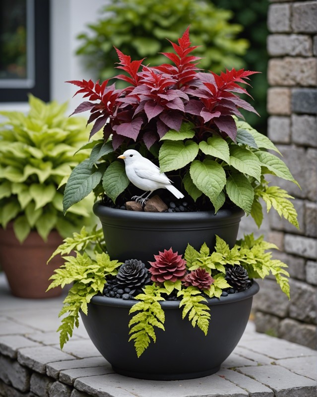 Edgy Elegance: Design a Coleus Container with Black and White Accents