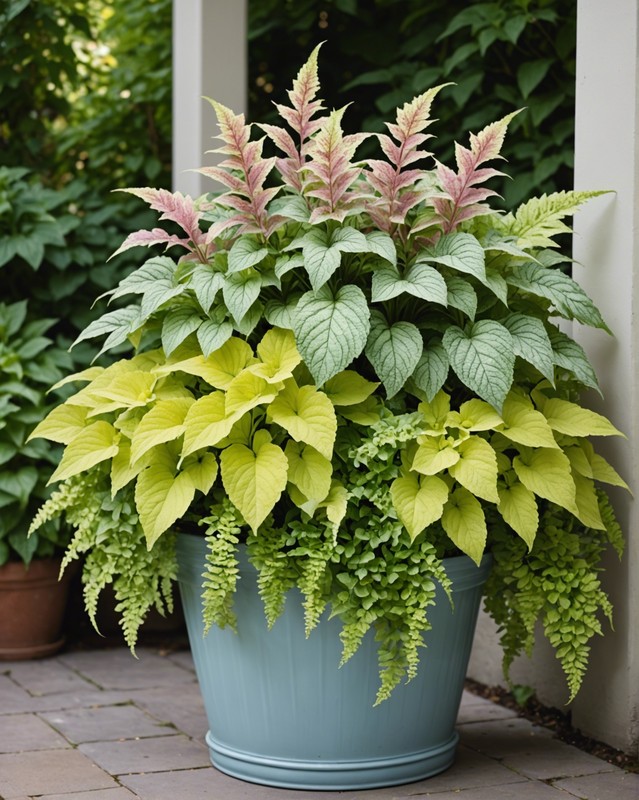 Timeless Elegance: Create a Classic Coleus Container with Pastel Shades