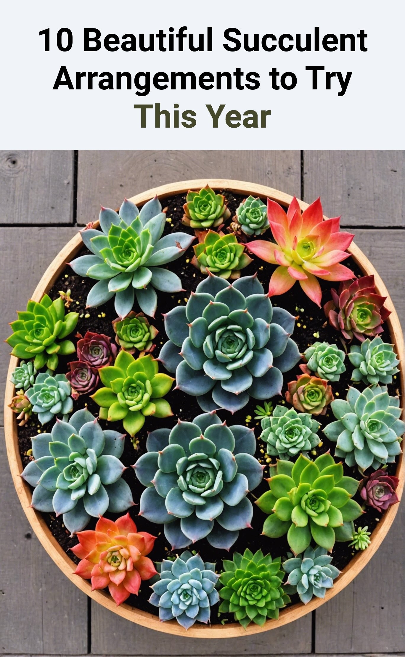 10 Beautiful Succulent Arrangements to Try This Year
