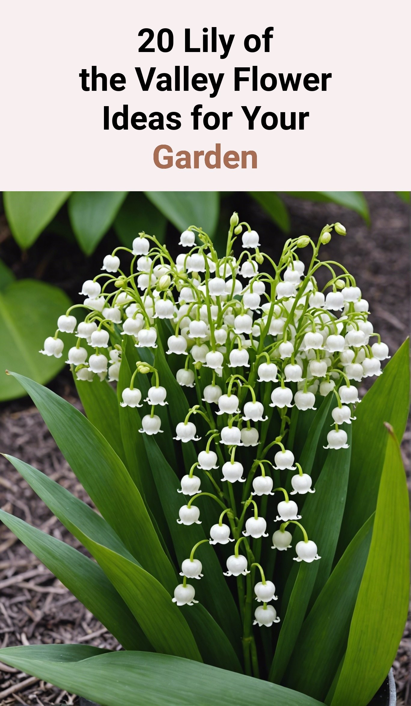 20 Lily of the Valley Flower Ideas for Your Garden
