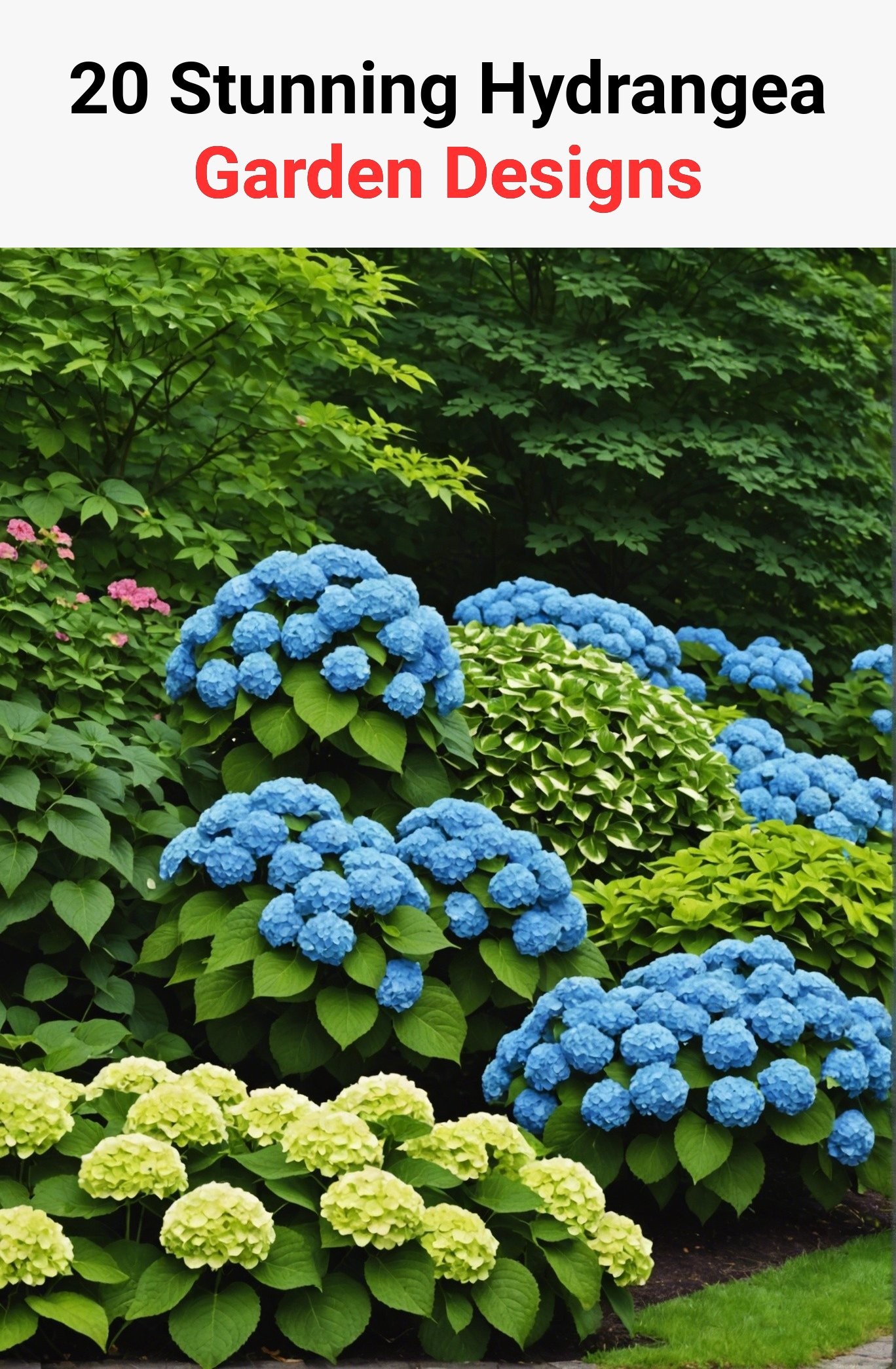20 Stunning Hydrangea Garden Designs