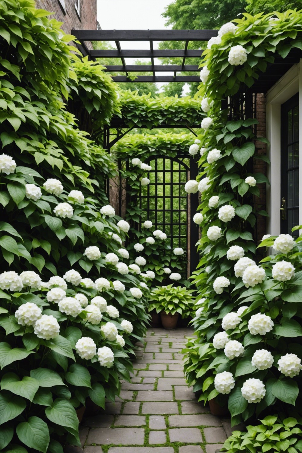 Urban Jungle with Climbing Hydrangeas and Hostas with White Blooms