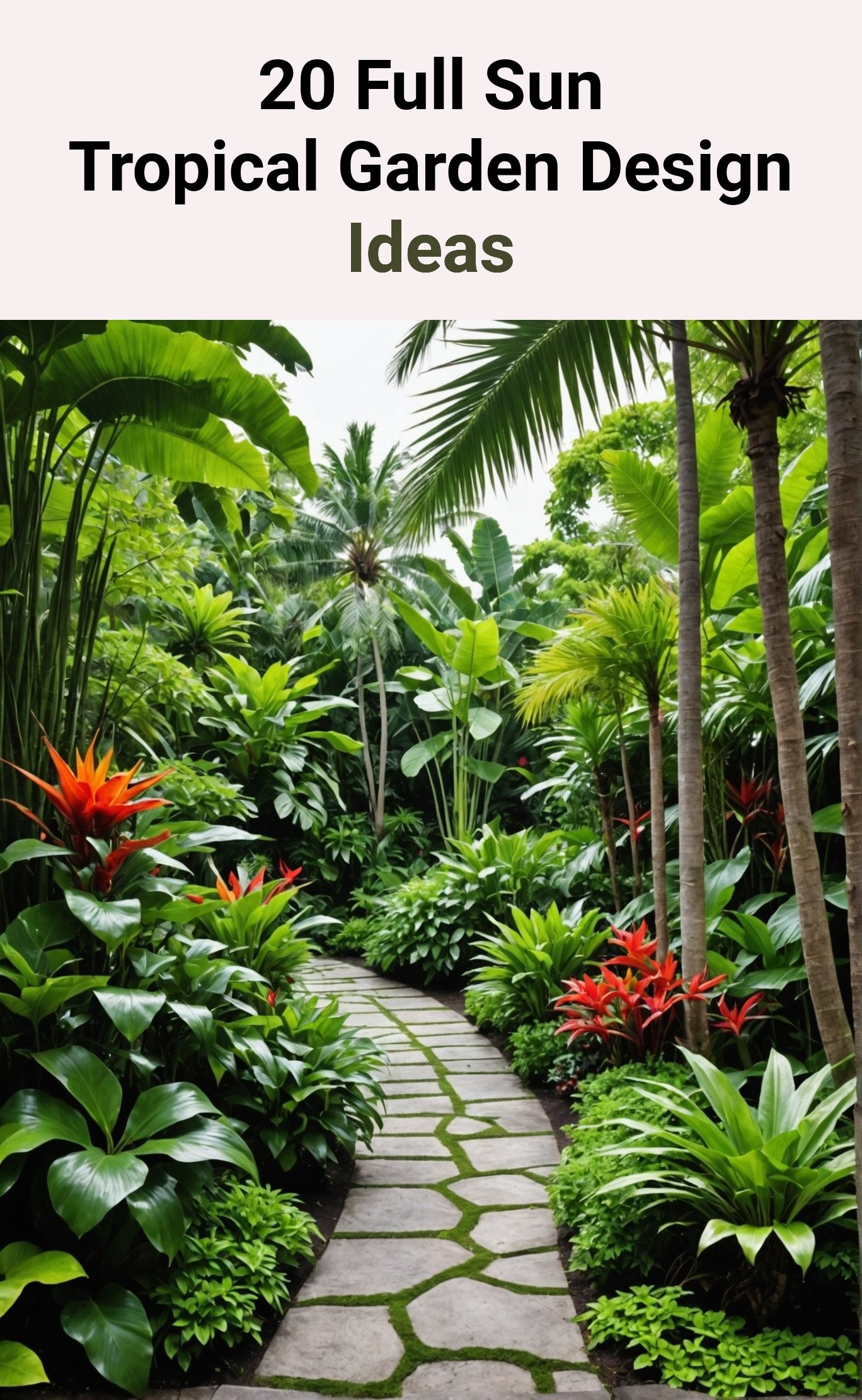 20 Full Sun Tropical Garden Design Ideas