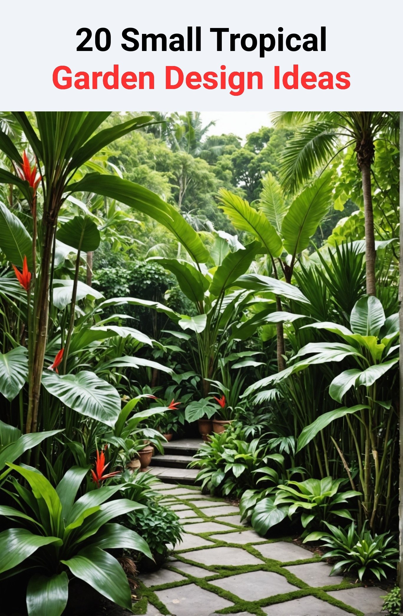 20 Small Tropical Garden Design Ideas