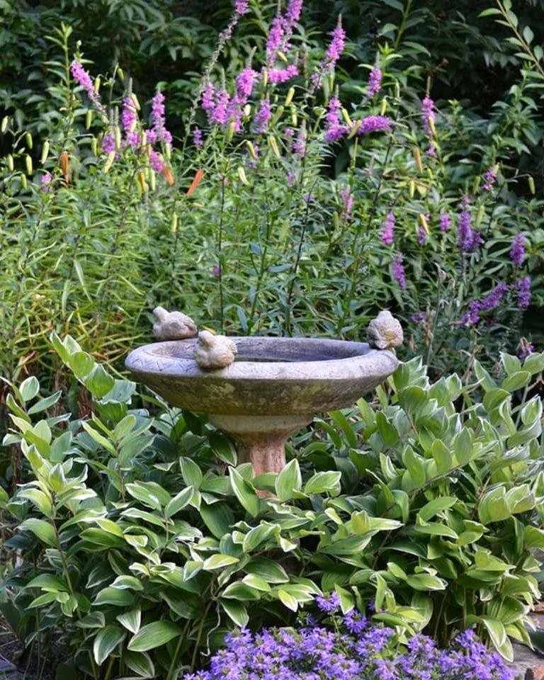 Elegant Birdbath Design