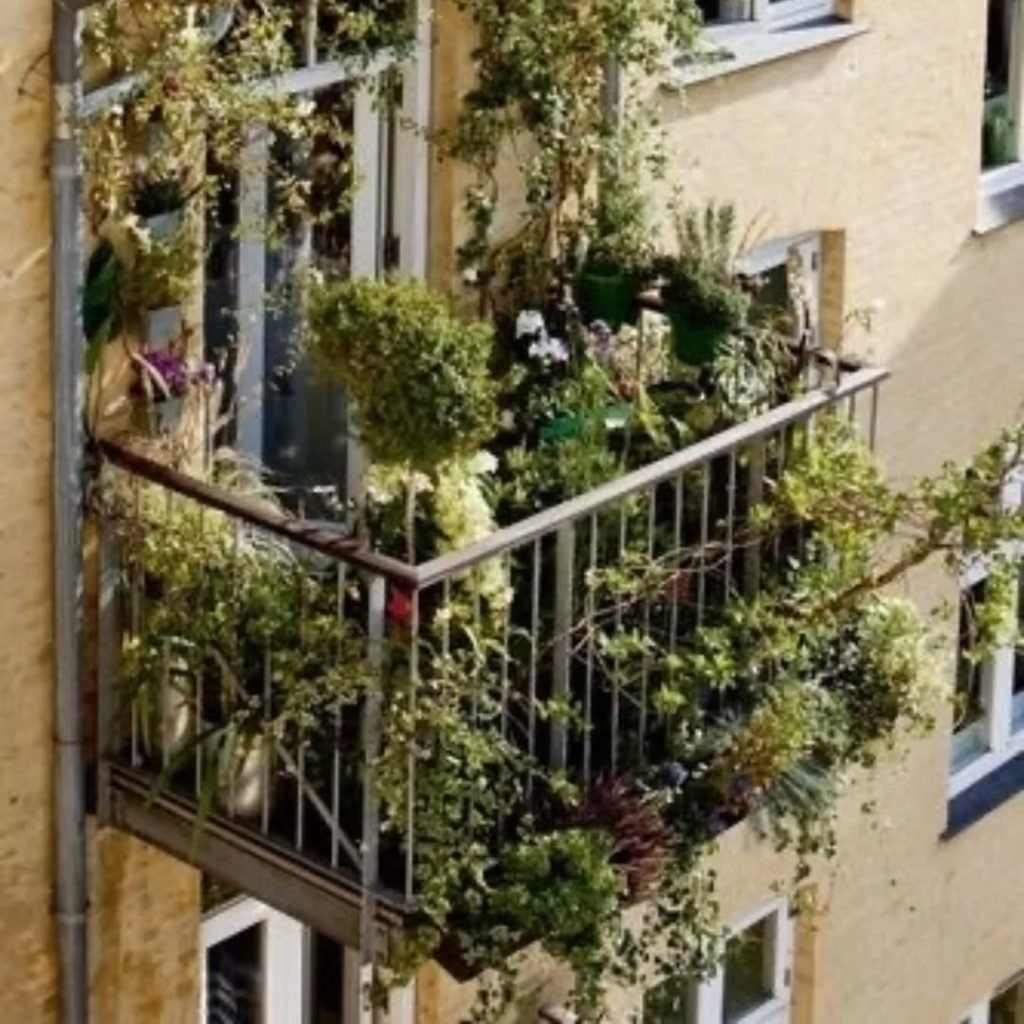 Lush Balcony Oasis