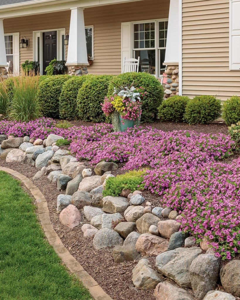 Purple Flowering Groundcover Showcase