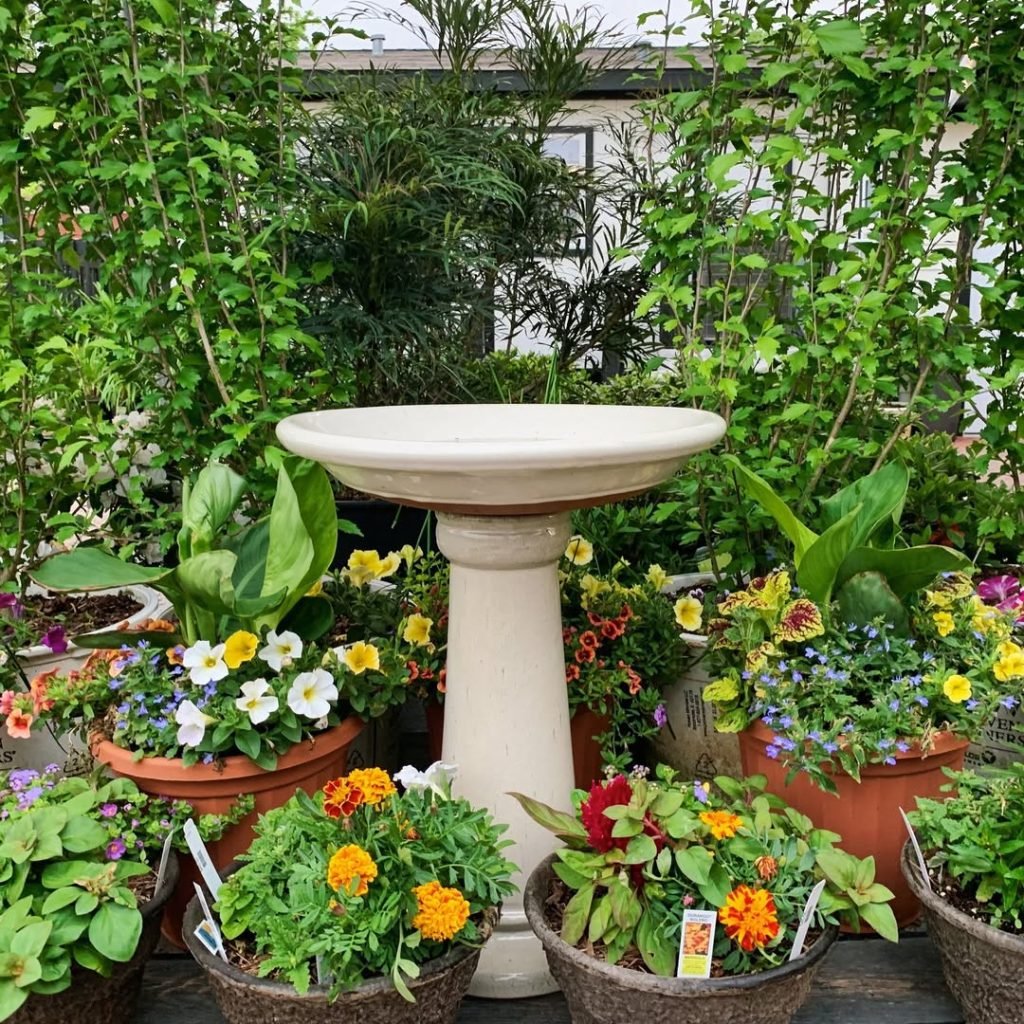 Vibrant Container Garden Design
