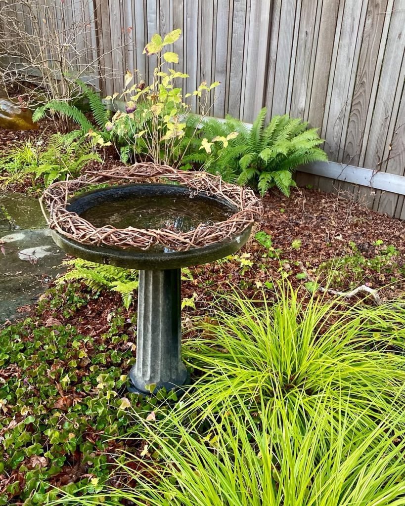 Woodland-Inspired Bird Bath